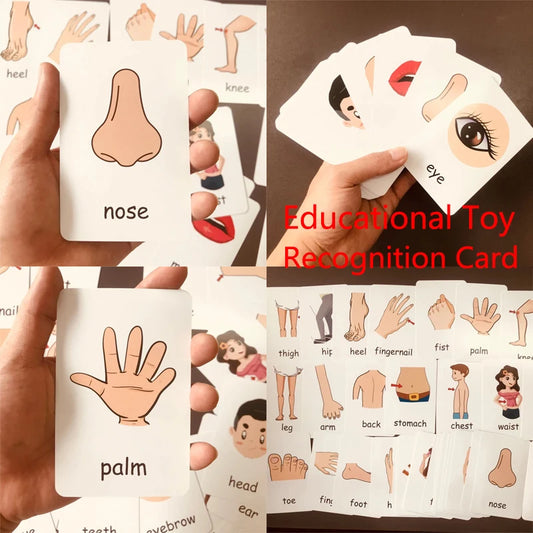 Children Cognition Cards - Body Parts, Animals, Fruits Flashcards