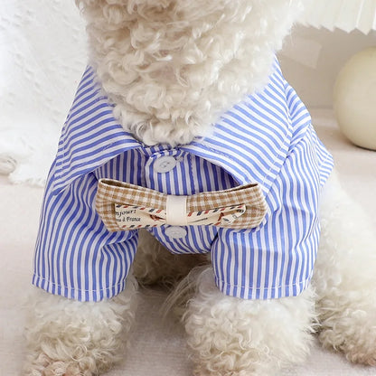 Bowknot Striped Dog Shirt Summer Blue Small Pet