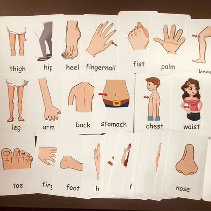 Children Cognition Cards - Body Parts, Animals, Fruits Flashcards