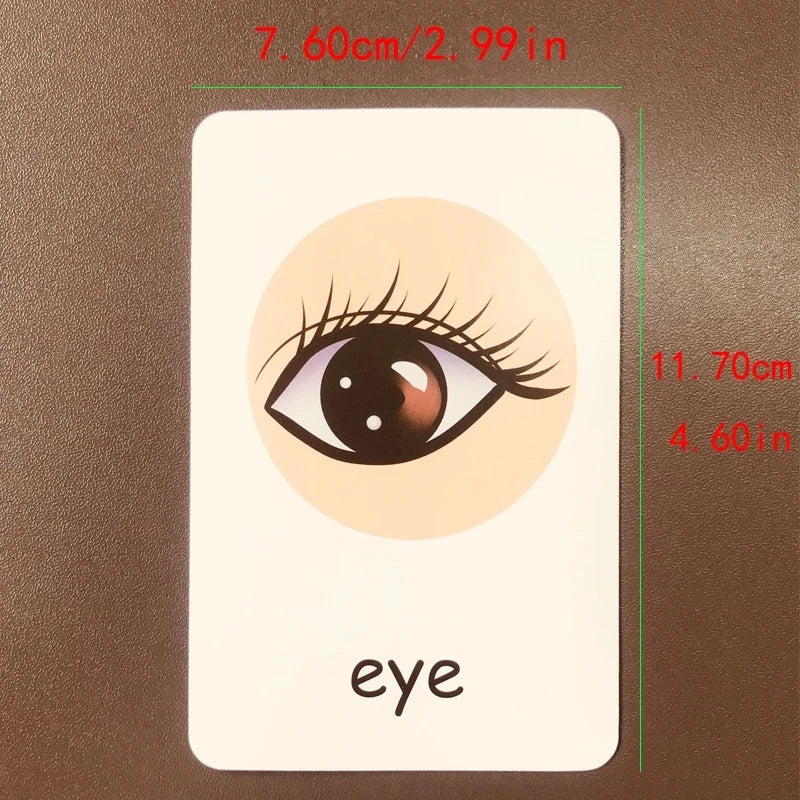Children Cognition Cards - Body Parts, Animals, Fruits Flashcards