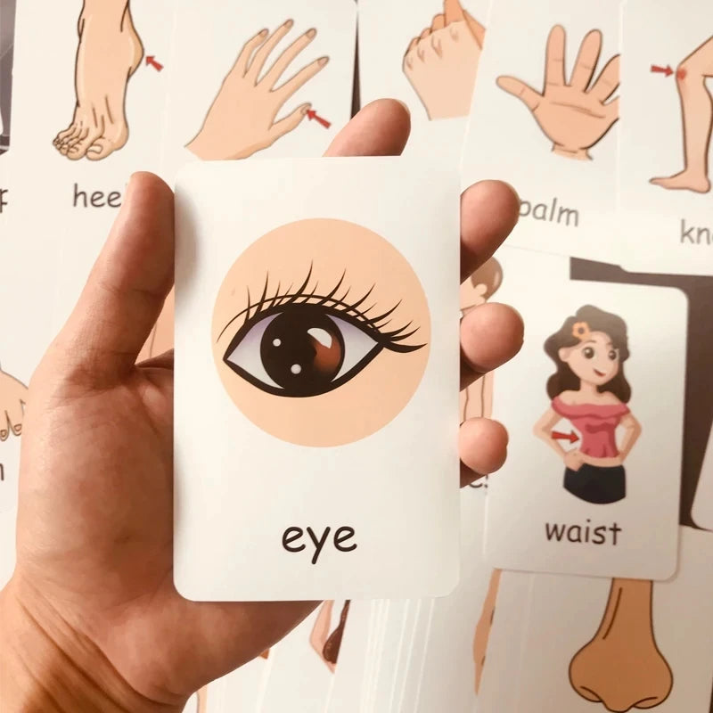 Children Cognition Cards - Body Parts, Animals, Fruits Flashcards