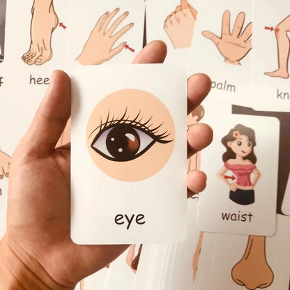 Children Cognition Cards - Body Parts, Animals, Fruits Flashcards