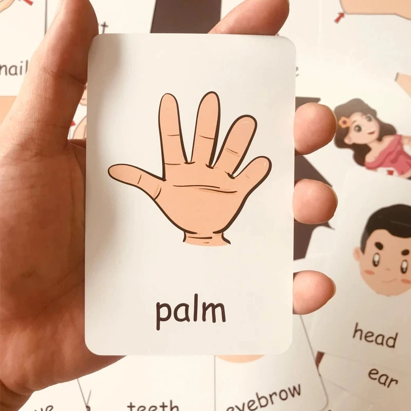 Children Cognition Cards - Body Parts, Animals, Fruits Flashcards