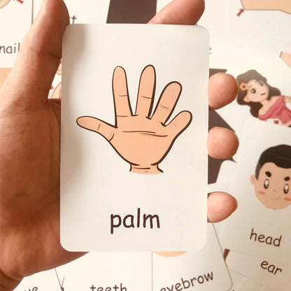 Children Cognition Cards - Body Parts, Animals, Fruits Flashcards